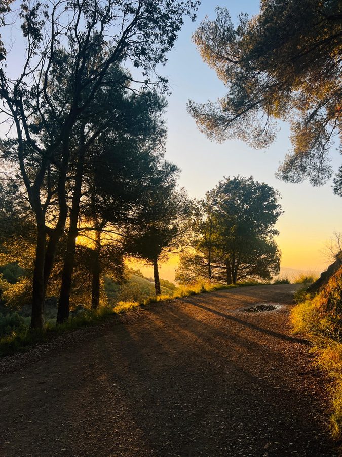 Carretera de les Aigües at golden hour